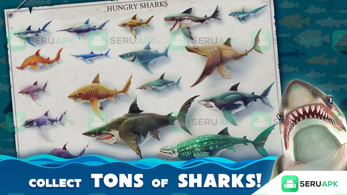 Hungry Shark 1