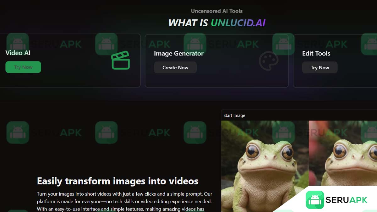 Unlucid AI 1