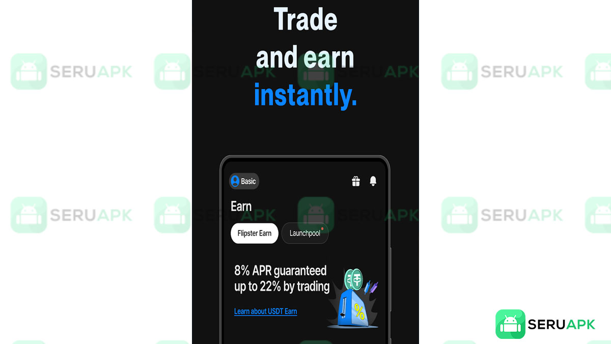 Flipster 2