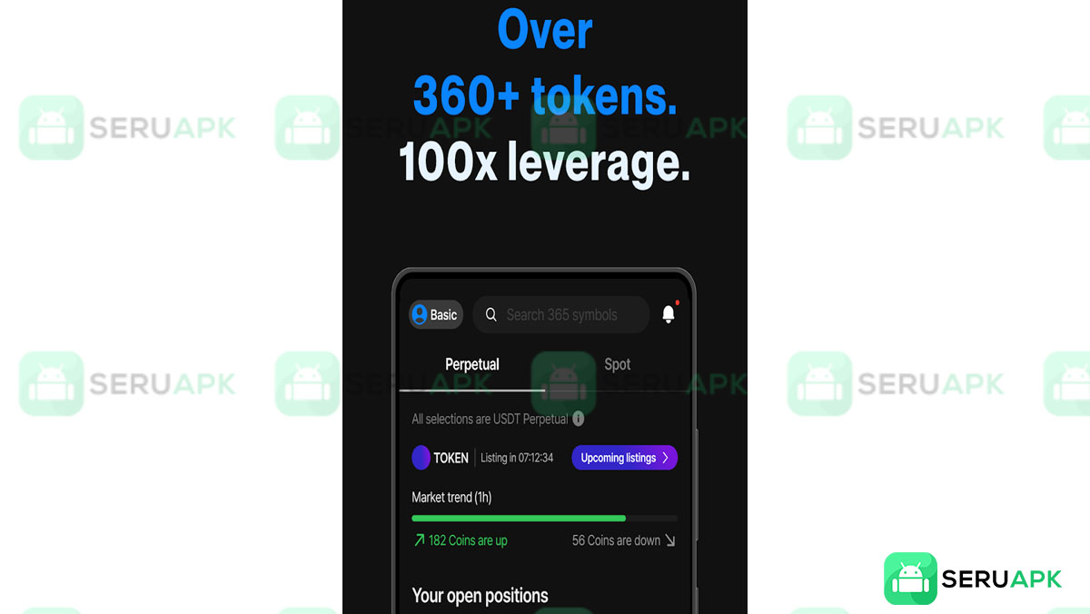 Flipster 3