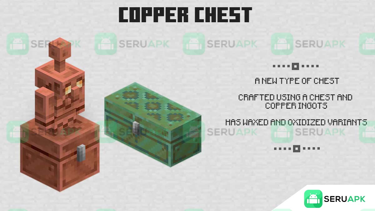 Minecraft 1.21.110.20 3
