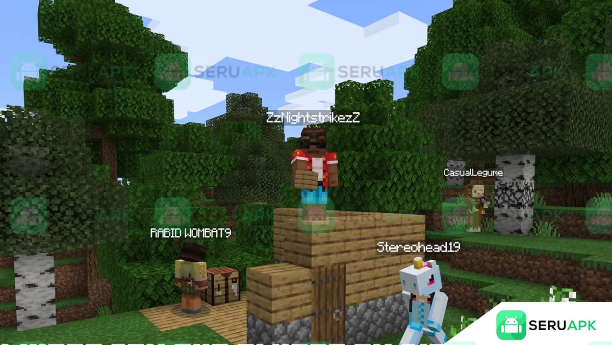 Minecraft 1.21.95 1