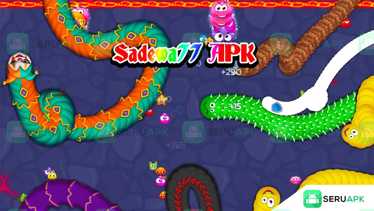 Sadewa77 3